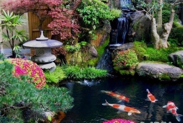Thi công vườn Nhật đẹp ấn tượng, hợp phong thuỷ