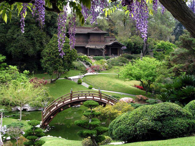 Thi công sân vườn Nhật đẳng cấp nhất